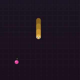 Coil Run